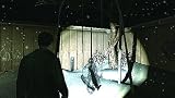 SILENT HILL SHATTERED MEMORIES(�������ȥҥ� ����å����ɥ��꡼��)