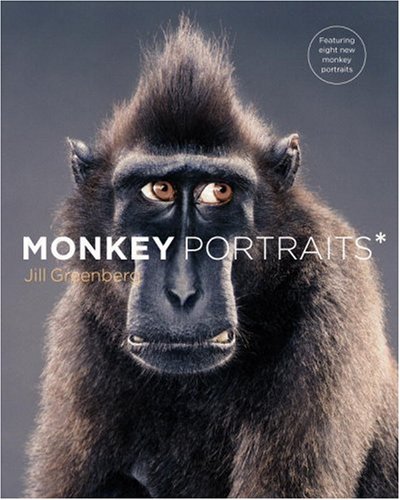 Monkey Portraits