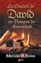 La Oracion de David en Tiempos de Adversidad (Spanish Edition)