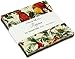 Moda Rejoice Charm Pack, Set of 42 5-inch (12.7cm) Precut Cotton Fabric Squares