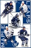 Toronto Maple Leafs (Tomas Kaberle, Darcy Tucker, Andrew Raycroft, Mats Sundin, Bryan McCabe) Sport Poster Print - 24