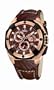 Festina Men's F16357/2 Grand Tour Gold Tone Stainless Steel Gold Tone Case Chrono Watch