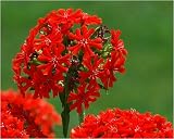 image link - - B001TRBY0S