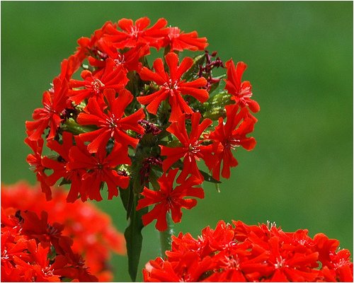 image link -  - B001TRBY0S