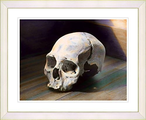 Studio Works Modern 'Scull' Framed Fine Art Print, 16-Inch x 20-Inch, Creamy White Frame