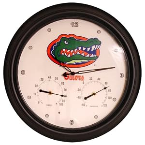 Florida Indoor Outdoor Clock