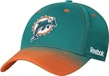 Miami Dolphins 2009 Coach