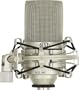 MXL MXL 990 Condenser Microphone with Shockmount