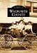 Book Walworth County, WI (Images of America)