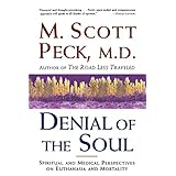 denial of the soul spiritual and medical perspectives on euthanasia and mortality