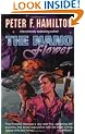 The Nano Flower (Greg Mandel)