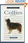 A New Owner's Guide to Collies