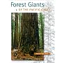 Forest Giants of the Pacific Coast