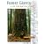Forest Giants of the Pacific Coast