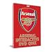 Arsenal Interactive Quiz [Interactive DVD]