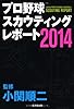 プロ野球スカウティングレポート2014