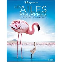 Les ailes pourpres : Le myst�re des flamants
