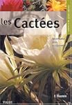 Des cact�es