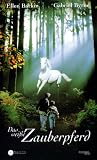 Review   / Into the West
