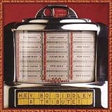 Hey Bo Diddley: a Tribute