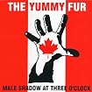 Male Shadow At Three O'Clock
