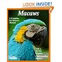 Macaws: Everything About Purchase, Management, Housing, Feeding, Health Care, and Breeding/a Complete Pet Owner's Manual