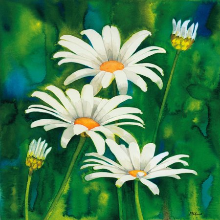 Maria Luffarelli - Composizione De Margherite, Size: 24 x 24 Matte Finish