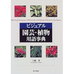 �r�W���A�����|�E�A���p�ꎖ�T