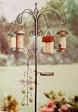 Ultimate Bird Feeding Station