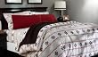 Pinzon 160-Gram Printed Flannel Full/Queen Duvet Cover, Swiss Bliss Grey