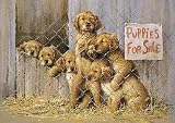 Tuftop Tempered Glass Kitchen Board -Puppies for Sale-Medium