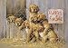 Tuftop Tempered Glass Kitchen Board -Puppies for Sale-Medium