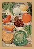 Garden Richness #1 20x30 poster