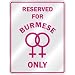 burmese33 - RESERVED FOR BURMESE LESBIANS BURMA