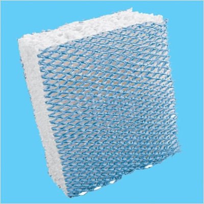 Hamilton Beach 05900 REPLACEMENT FILTER