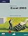  : Microsoft Office Excel 2003: Complete Tutorial