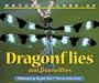 Nature Close-Up - Dragonflies and Damselflies