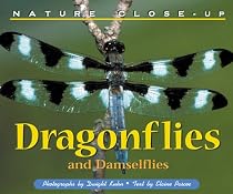 Nature Close-Up - Dragonflies and Damselflies