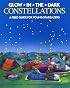 Glow-in-the-Dark Constellations