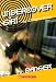 Danger (Undercover Girl)