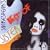 Best of Shakespear's Sister
