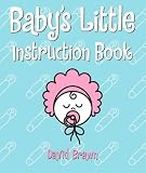 A Baby's Little Instruction Book