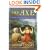 The Axe: The Master of Hestviken, Vol. 1