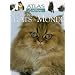 chat perdu psy