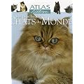 Les plus beaux Chats du Monde