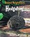 Hedgehog (Animal Neighbours)