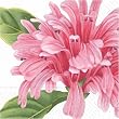 Design Design Oasis Flower Beverage Napkin, 20-Count Packages (Pack of 6)