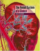 The Renal System at a Glance
