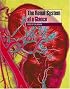The Renal System at a Glance (At a Glance)
