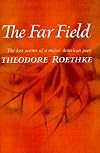 The Far Field